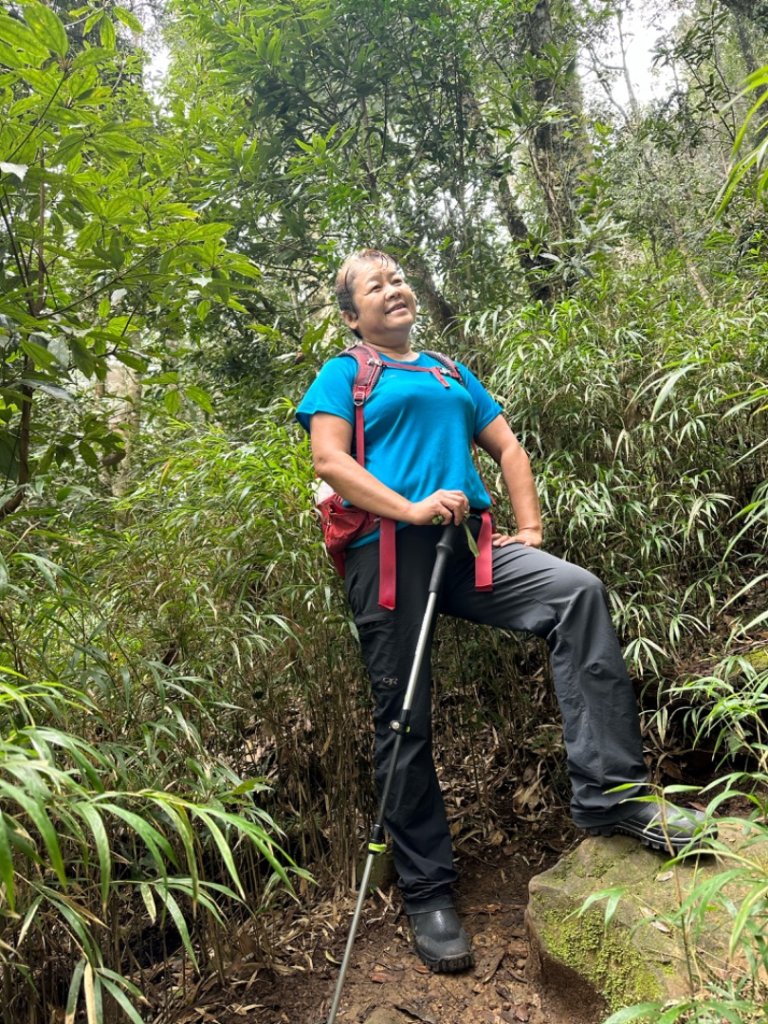 鵝公髻山（小百岳）鵝公髻山東北峰_2449823