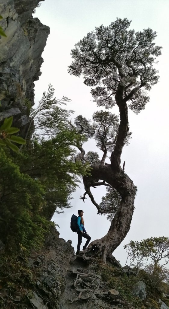 [百岳]武陵四之二秀~池有山、品田山_646890