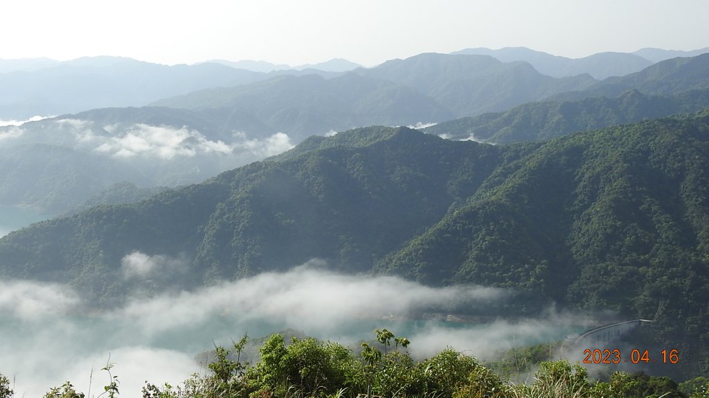 翡翠水庫壩頂(新店四十份)再見日出雲海+賞 #松月櫻 &桐花_2114991