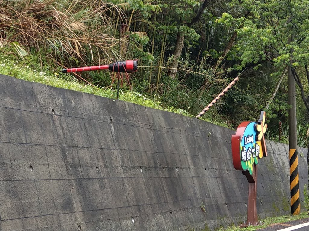 2018.04.07復興三尖-那結山_1005330