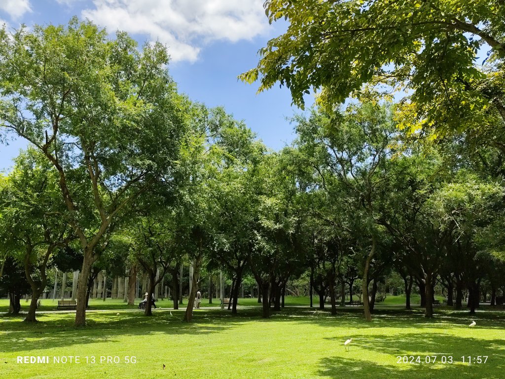 大安森林公園【走路趣尋寶】【臺北健走趣】_2541497