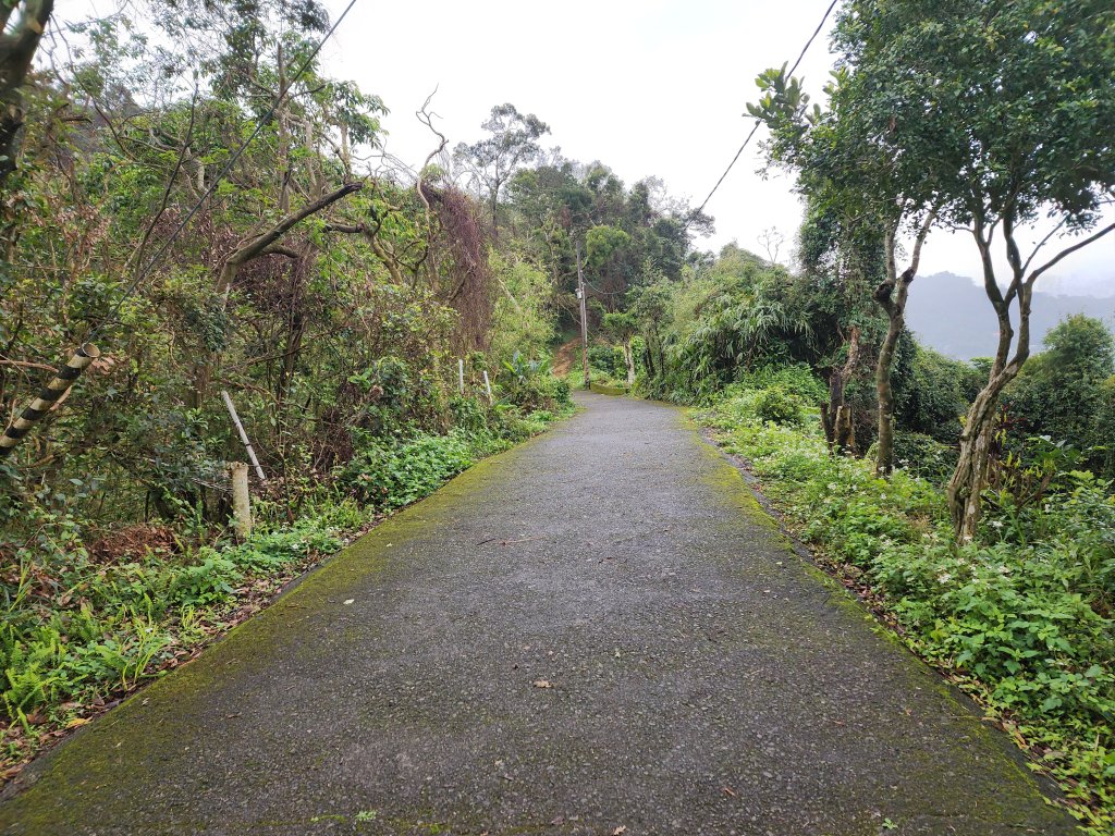 20250209電車登山 南港 ~ 辛亥_2744780