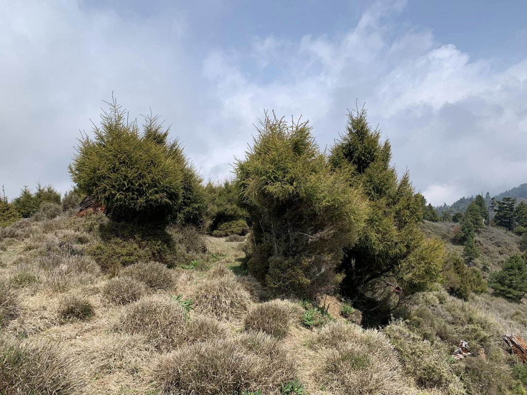 漂亮七彩湖（百岳）_2111890