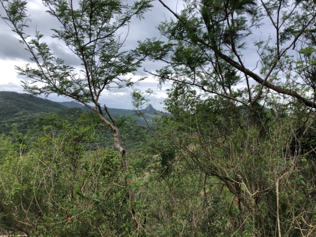 大山母山20220402_1661076