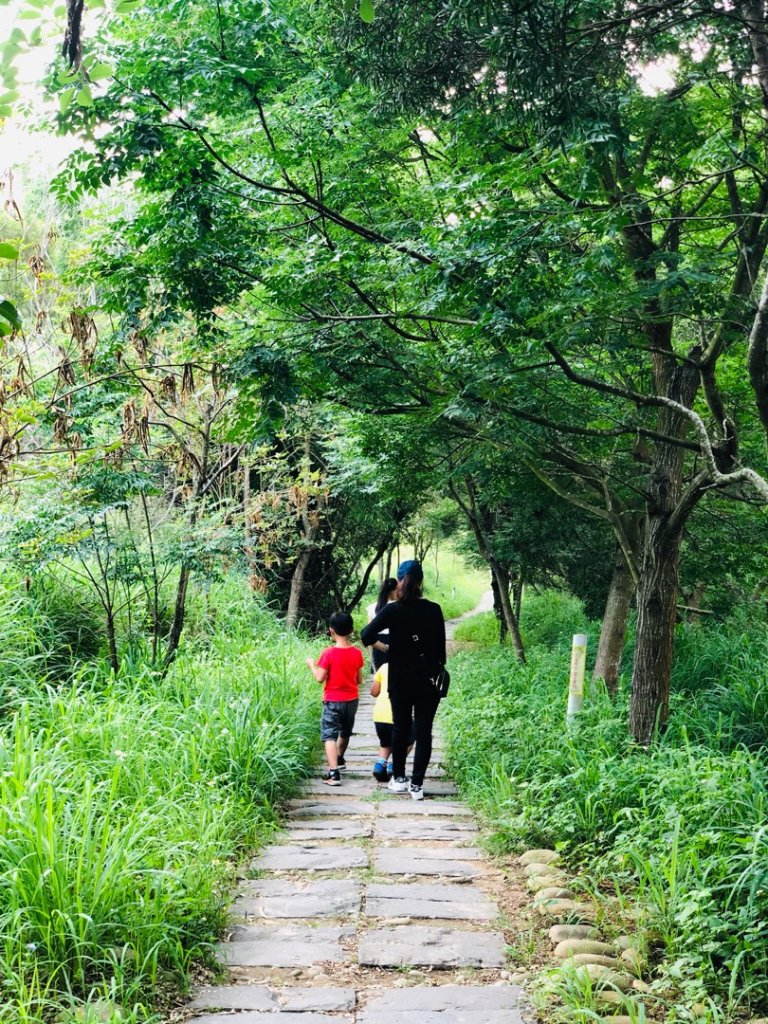 2019.5.4竹坑南寮登山步道_593003