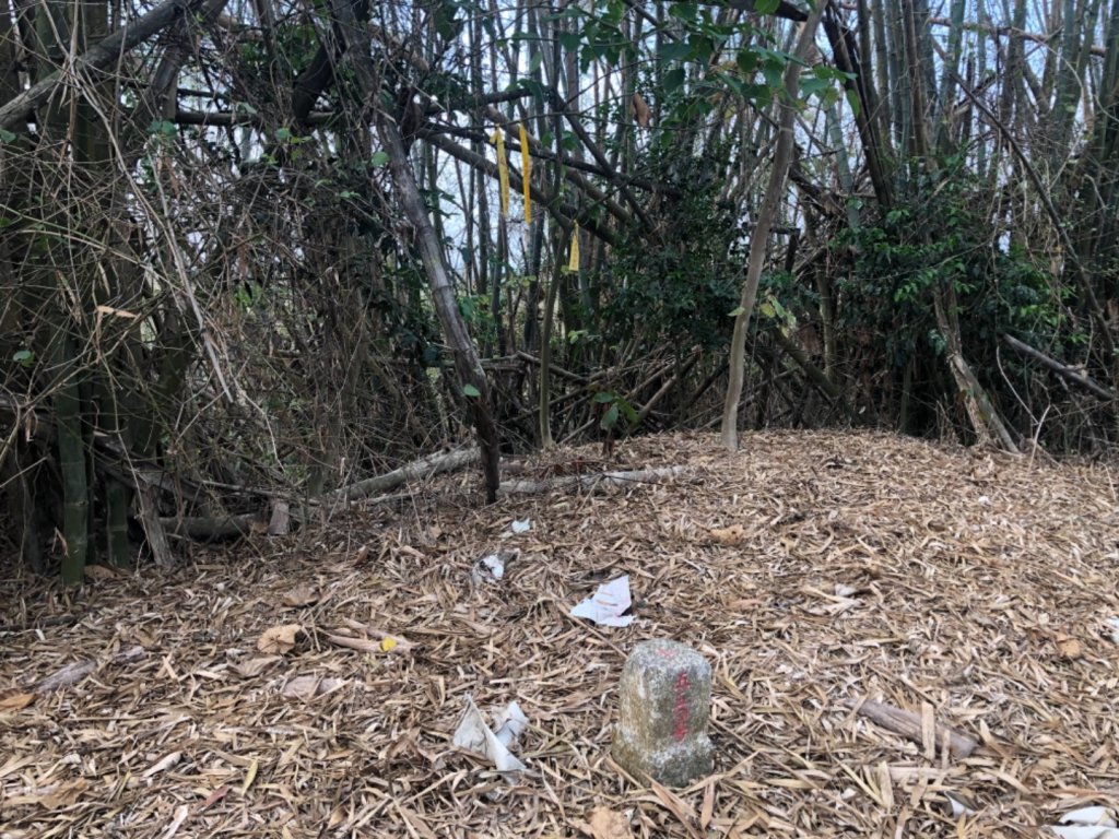 台南市官田區國立台南藝術大學旁臥牛山三等三角點NO.550_1369579