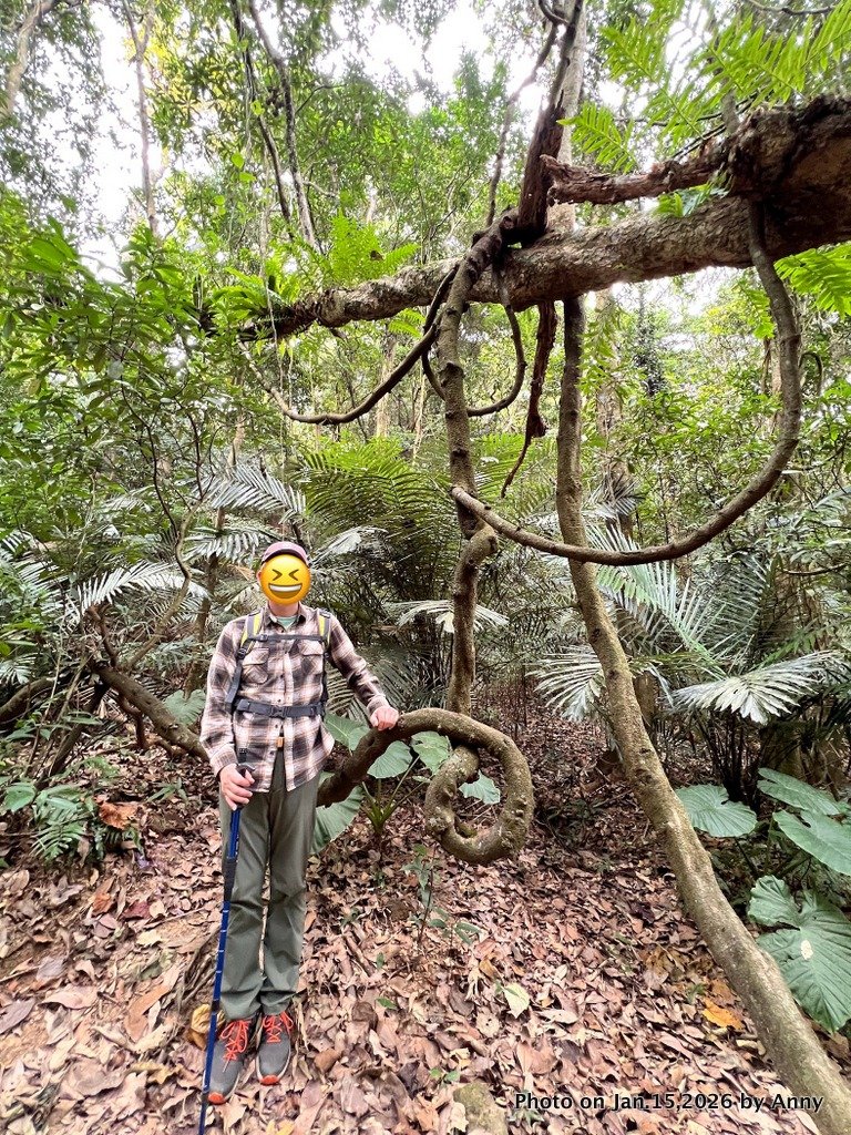 【新竹＋苗栗】猿獅縱走_2989064