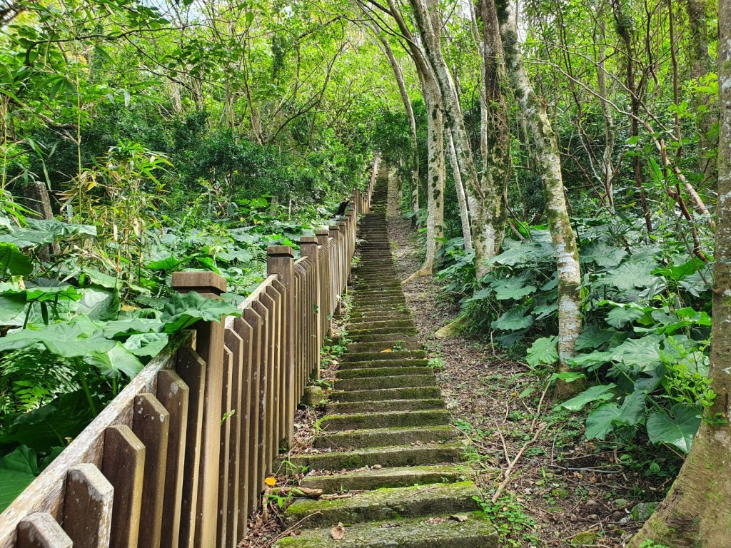 美崙山步道封面圖