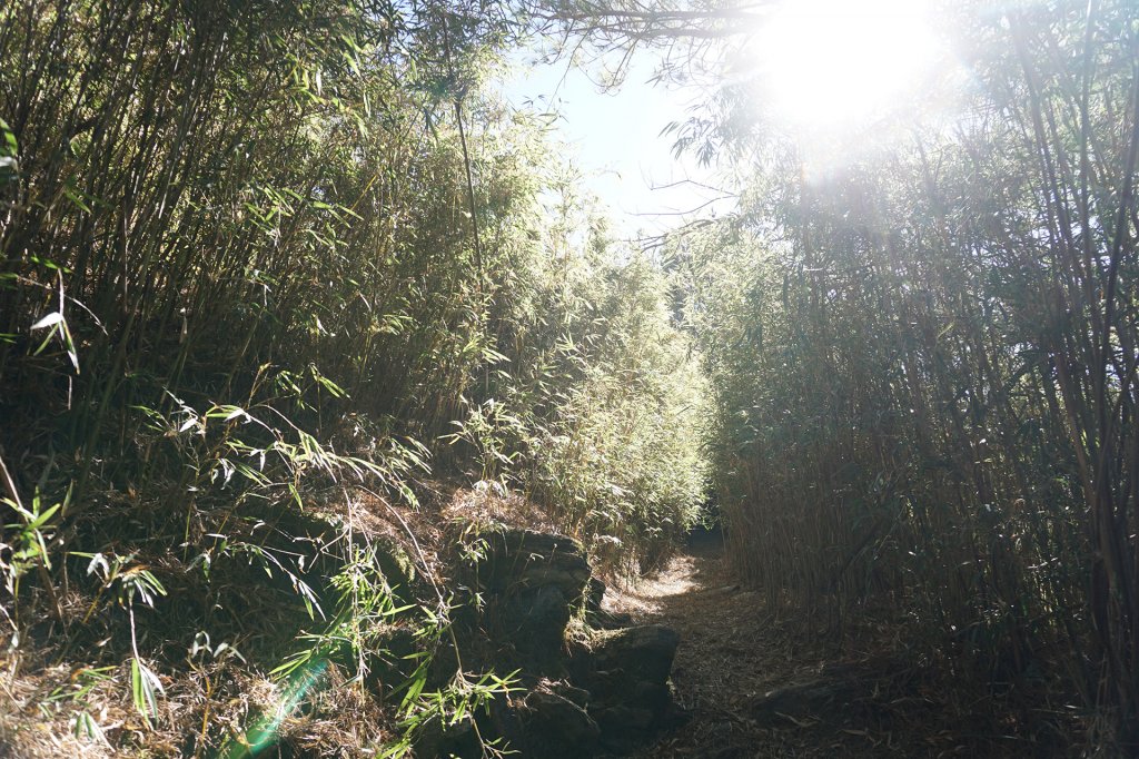 開車帶給我的樂趣不亞於爬山的旅程 郡大山_850626