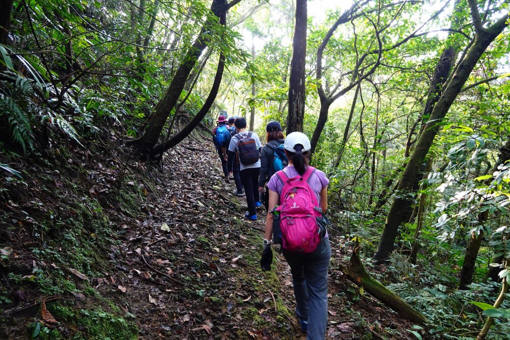 親子健行-獅蛇縱走_871728