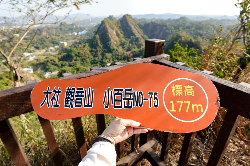 觀音山｜大社觀音山小百岳_3002718