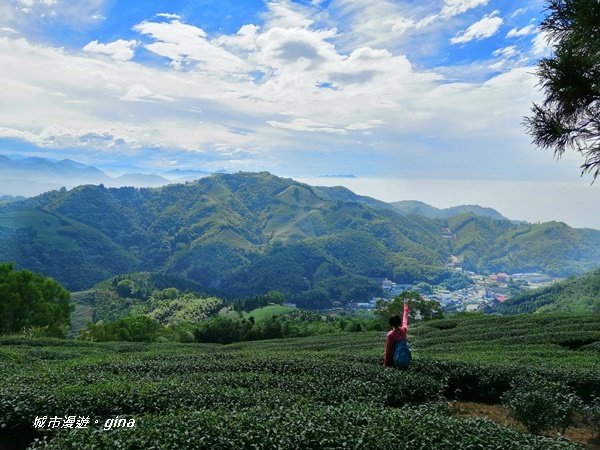 嘉義梅山~梯田茶園好風光~小百岳梨子腳山封面圖