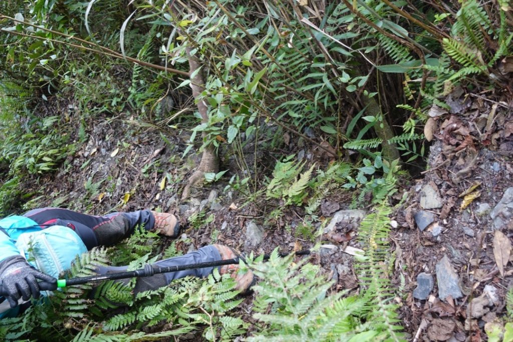 小鬼湖林道上亞泥迪山_1276698