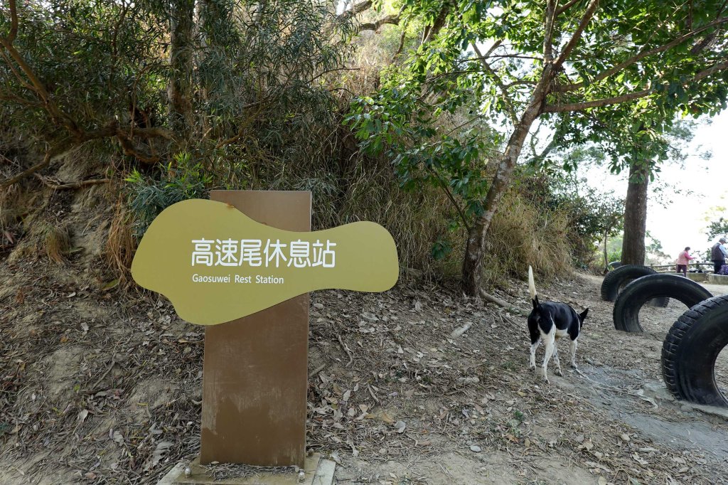 觀音山｜大社觀音山小百岳_3002726