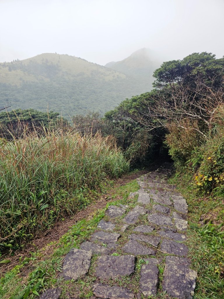 2025臺北大縱走第二段：二子坪至小油坑_2973508