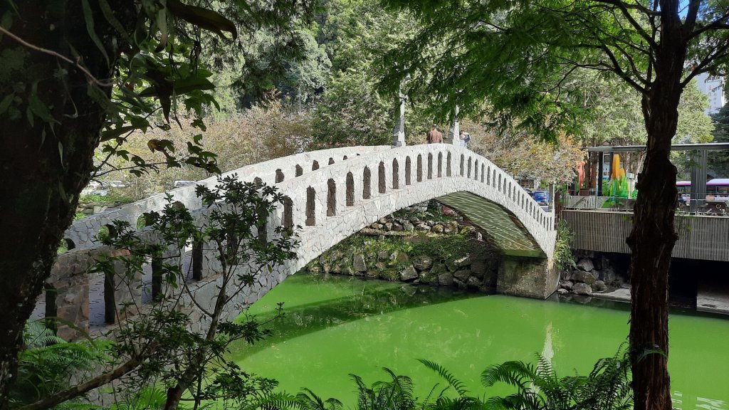 《南投》銀杏湖｜杉林溪青龍瀑布越嶺古道燕庵步道20221015_1879998