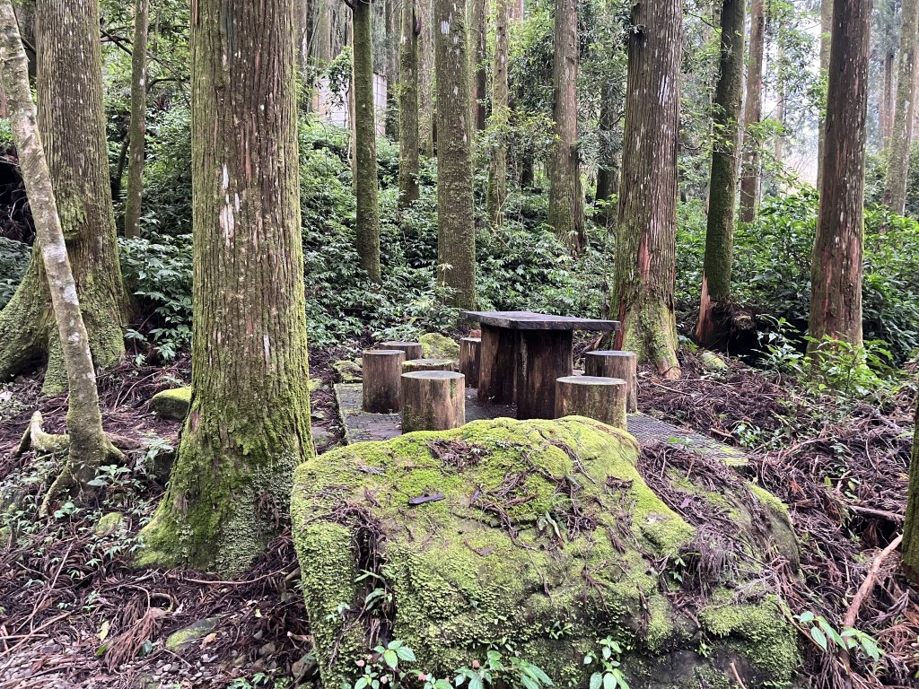 [嘉遊好步道．來嘉走走-04/10] 2024_1011 阿里山頂湖步道_2624676