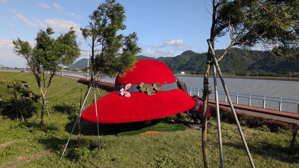 115.01.03山水步道-中庄吊橋-月眉落羽松之旅_2977066