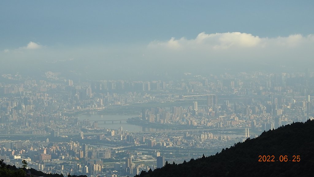 雲山水花鳥蝶-天龍國阿伯的日常6/25&26_1744357