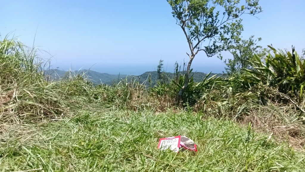 貢寮區慈南寺-九份坑山-文秀坑產道去回封面圖