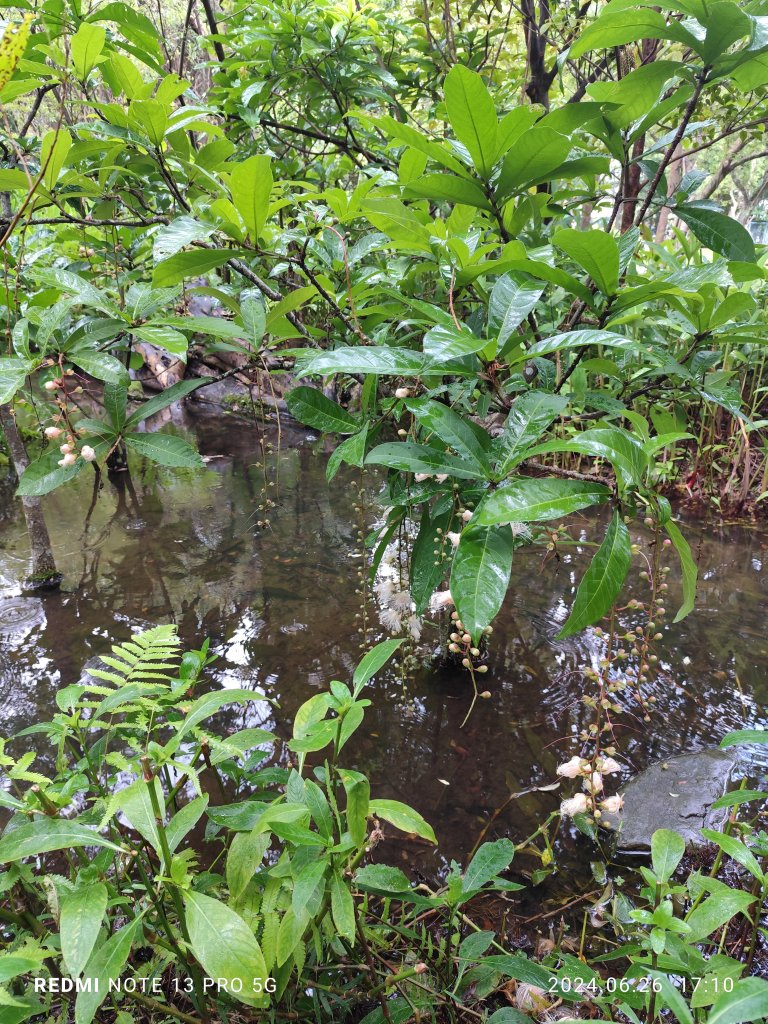 大安森林公園【走路趣尋寶】【臺北健走趣】_2536299