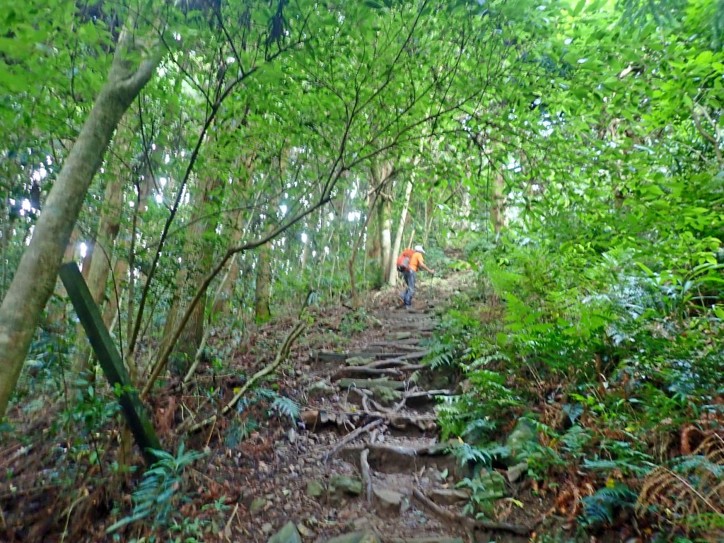 大雪山大崠山避暑趣2019/7/21_634419