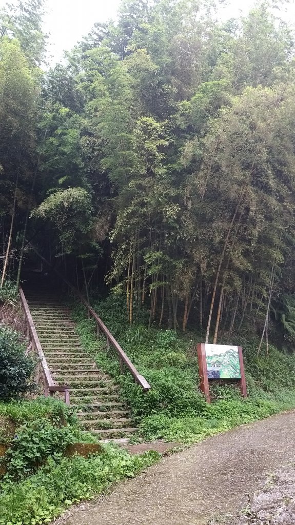 220820-挑筍古道(後棟仔山、小百岳#056雲嘉大尖山)_1834543