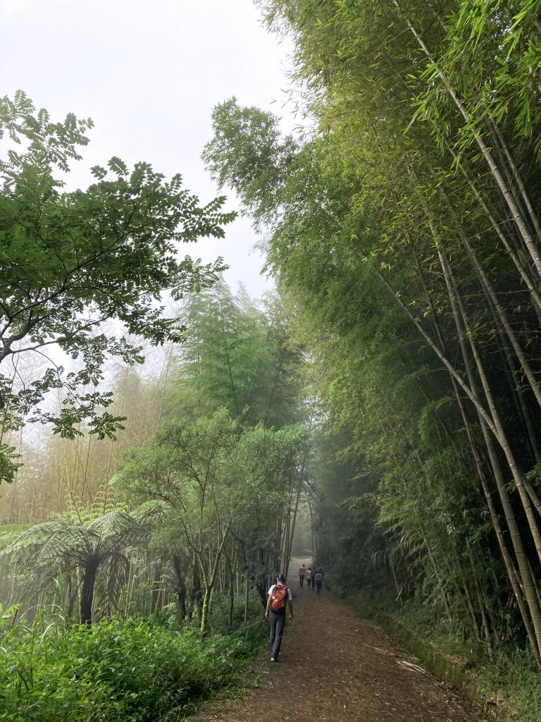 2023-09-30 頂石棹 雲之道_2300723