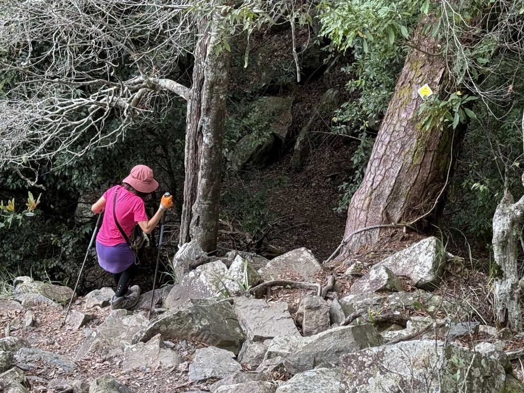 波津加山 20250914_2893384