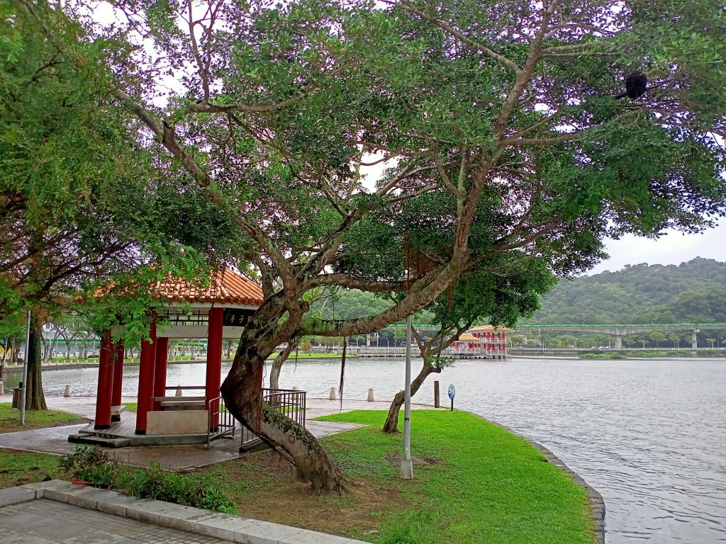 大湖公園 - 消防人員救生艇訓練【走路趣尋寶】_1925055