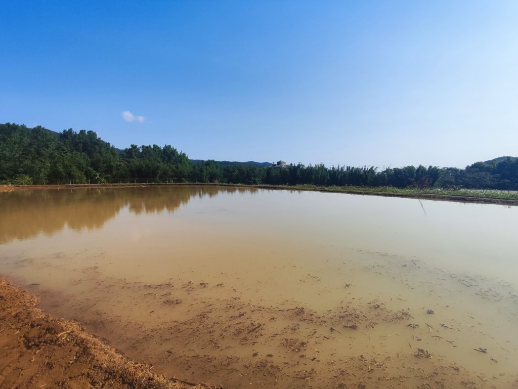 淡蘭北2+1逆走二刷封面圖