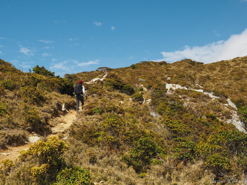 [百岳]金色嘉明湖與三叉向陽_873341