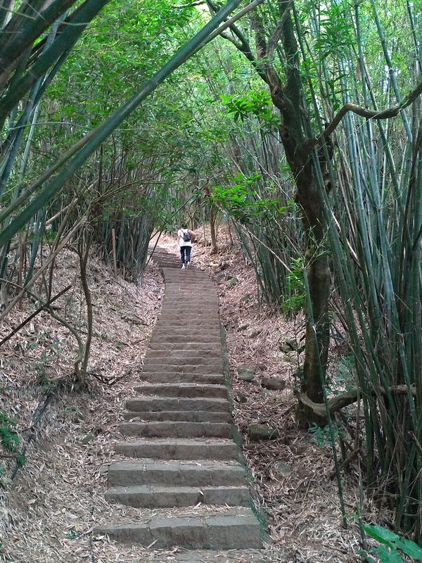 【台北市士林區】天母古道上七星山主峰_1779572