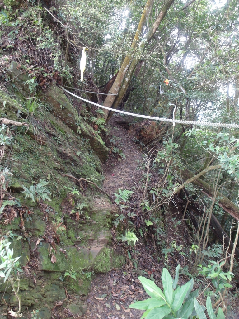 小百岳第33座苗栗獅潭仙山之三角點已遺失_88242