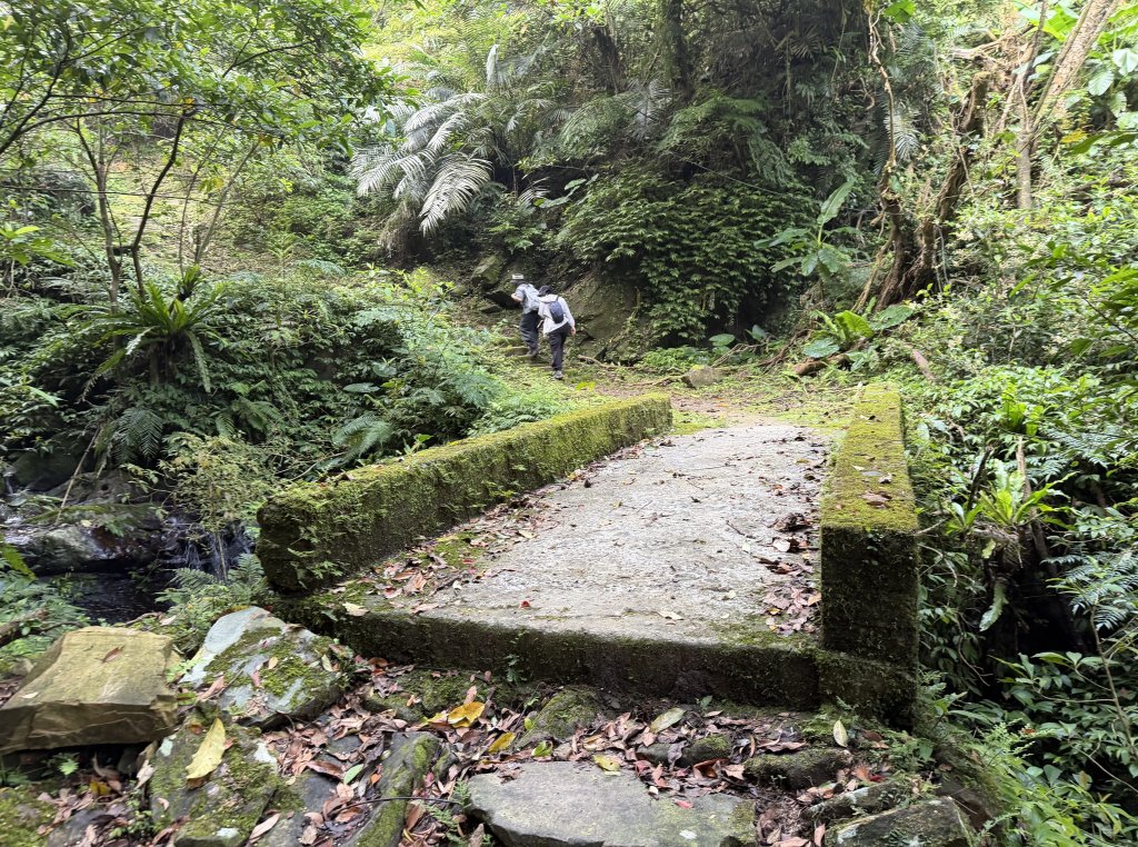 [微笑山線_第八段] 2026_0411 二格山系_西帽子岩_3034948