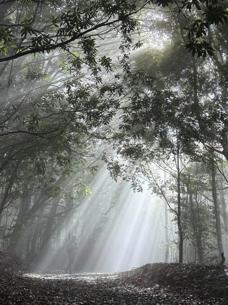 司馬限林道 訪 北坑駐在所_2811062