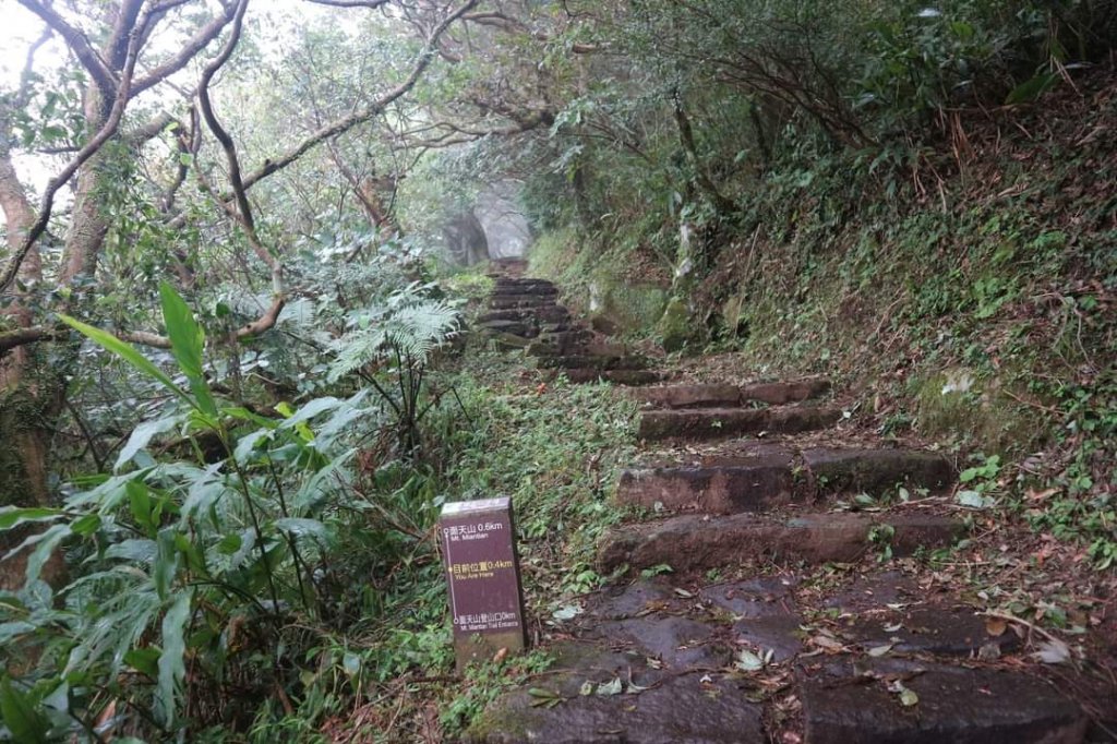 〔陽明山 〕面天山 向天山 向天池 二子坪步道。火山口湖 獨特生物蚌蟲 向天蝦（豐年蝦）_2235425
