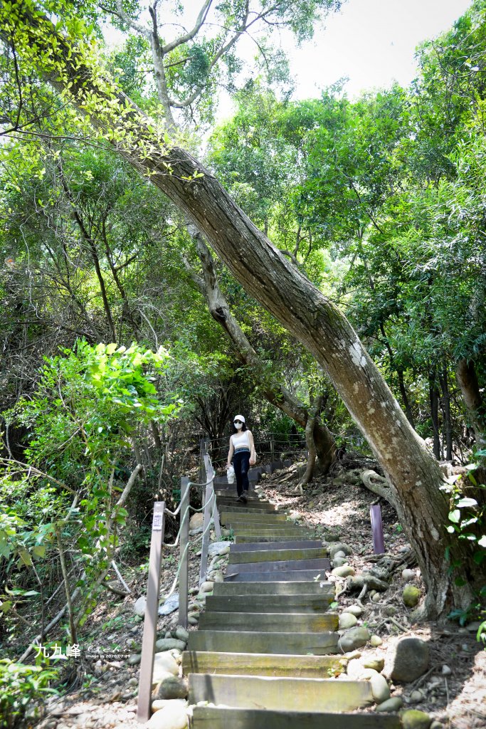 南投縣草屯鎮~九九峰森林步道_1517673