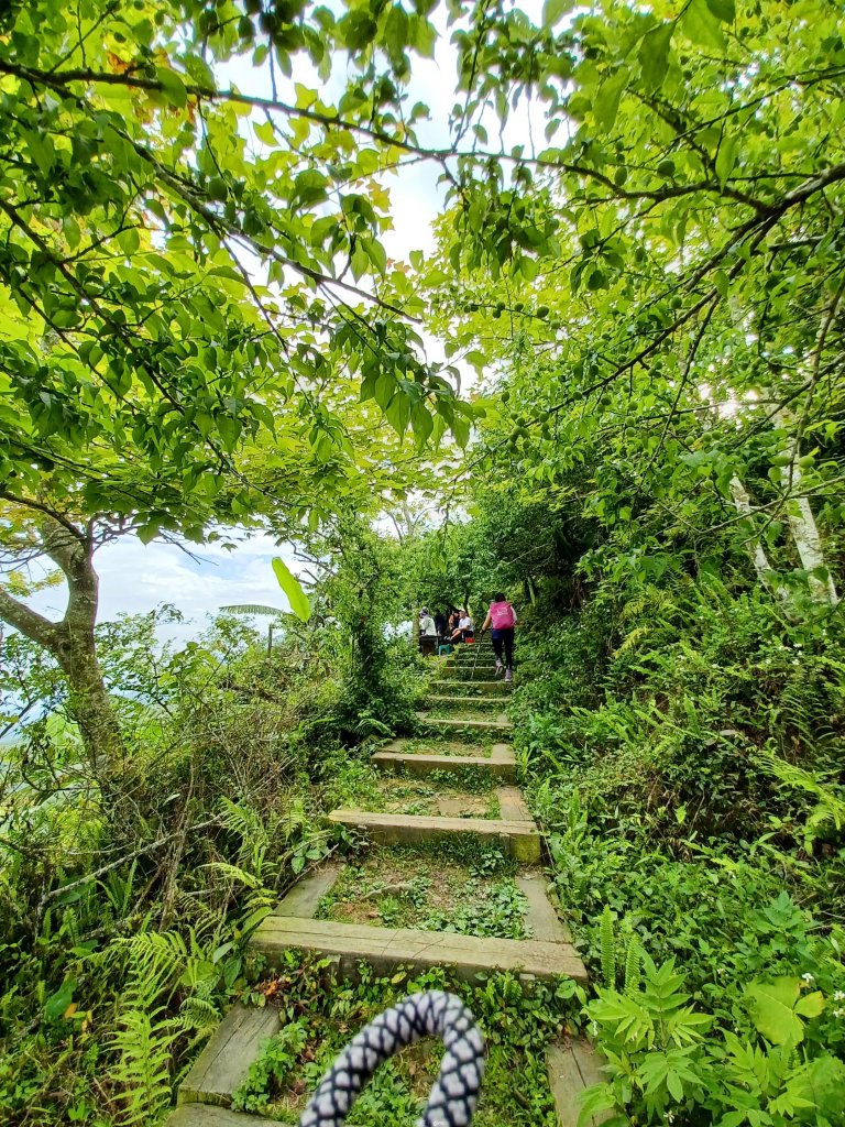 【台南白河】雞籠山+九龍山+大凍山O繞縱走_2797125