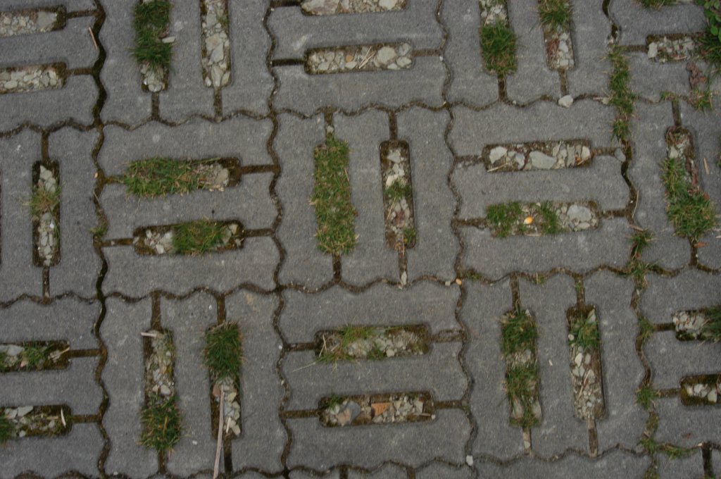 2004_0606_雪山神木與稍來山_2072931