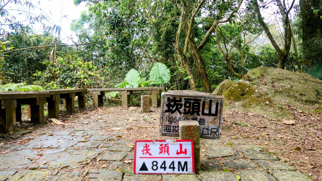 《臨江仙。木棉春色》_2735212