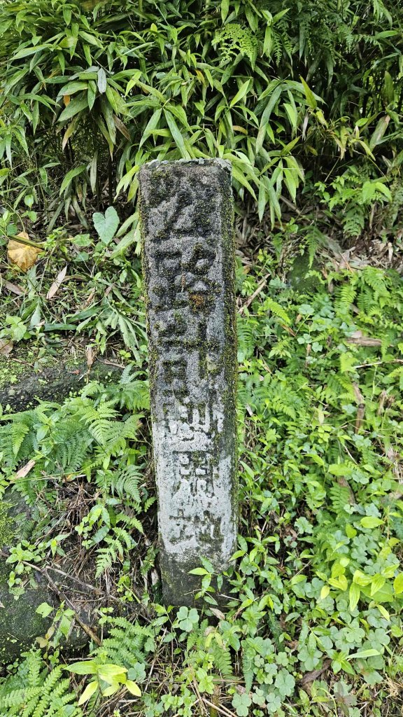 20251124綠峰山莊到天籟-大孔尾步道-南勢湖步道_2944089