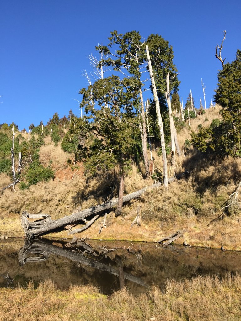 散落的珍珠-加羅湖_565059