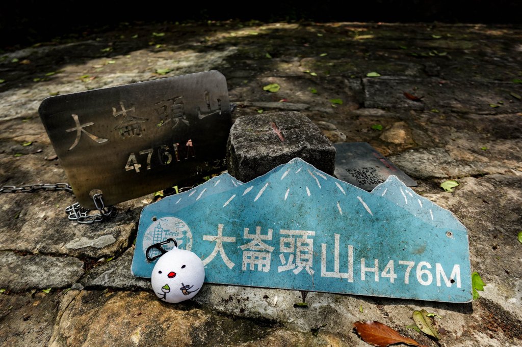 大崙頭尾山｜小百岳封面圖