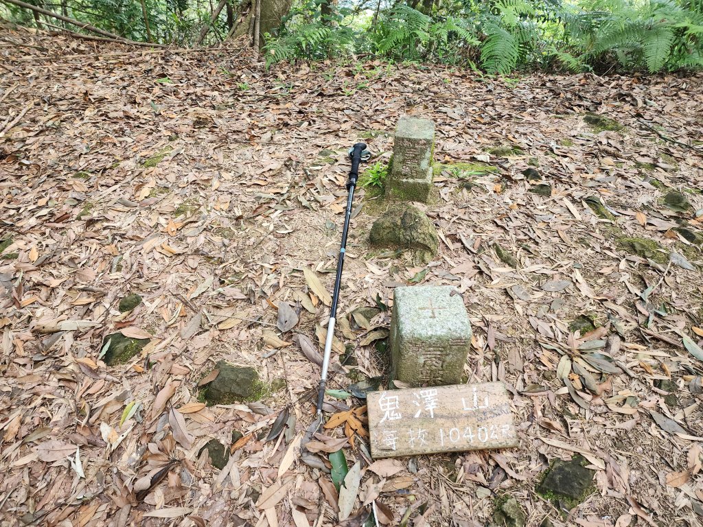 20240804鬼澤山、梅山、梅后蔓瀑布封面圖