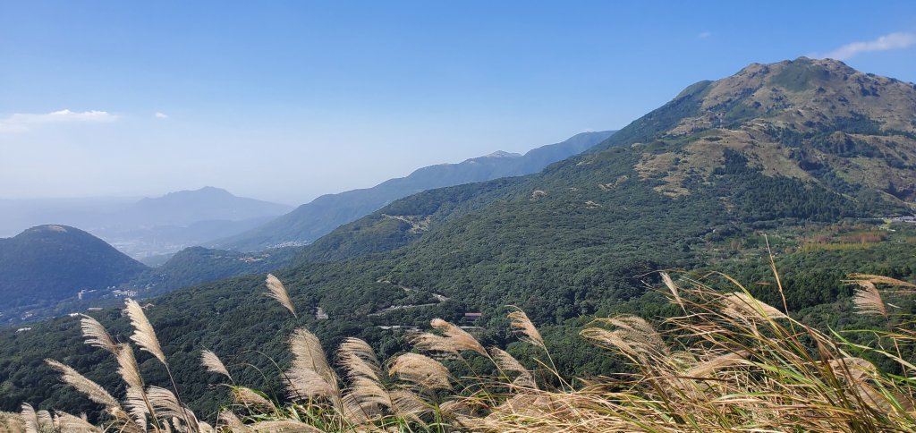 2023-11-18陽明山東西大縱走-東縱走（風櫃嘴～小油坑）_2352751
