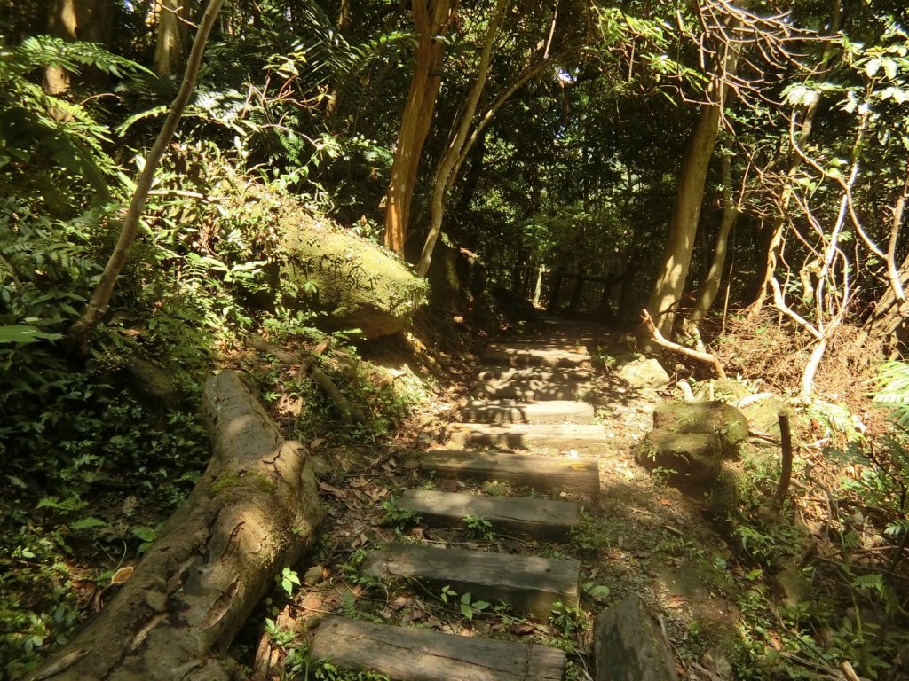 南邦寮山二格山O型封面圖