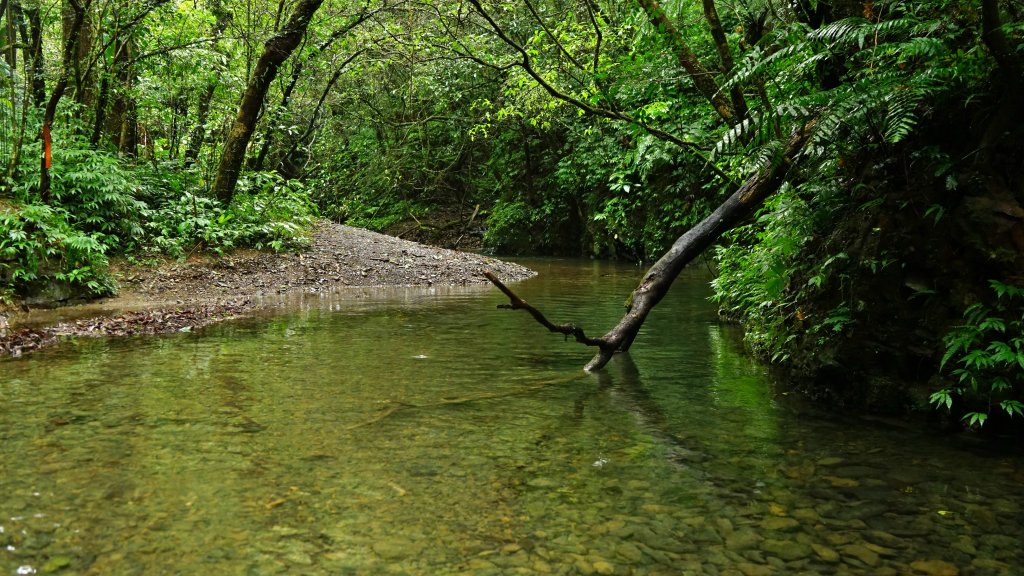 20201117坪溪古道_1495995