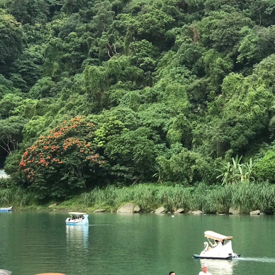 走路趣尋寶：碧潭風景區（東岸廣場）_2246230