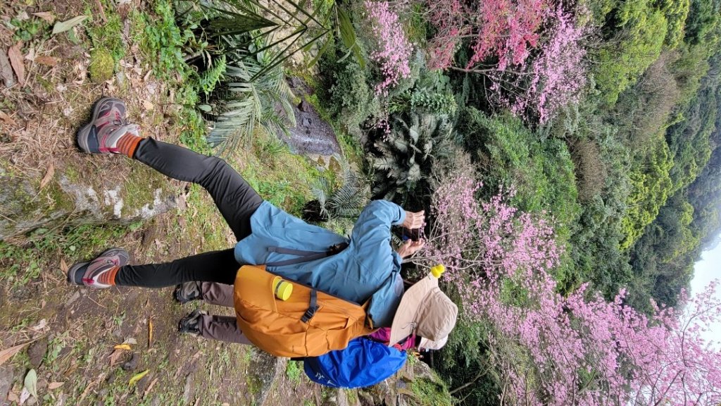 賞花+爬山健行-20240224_2436943